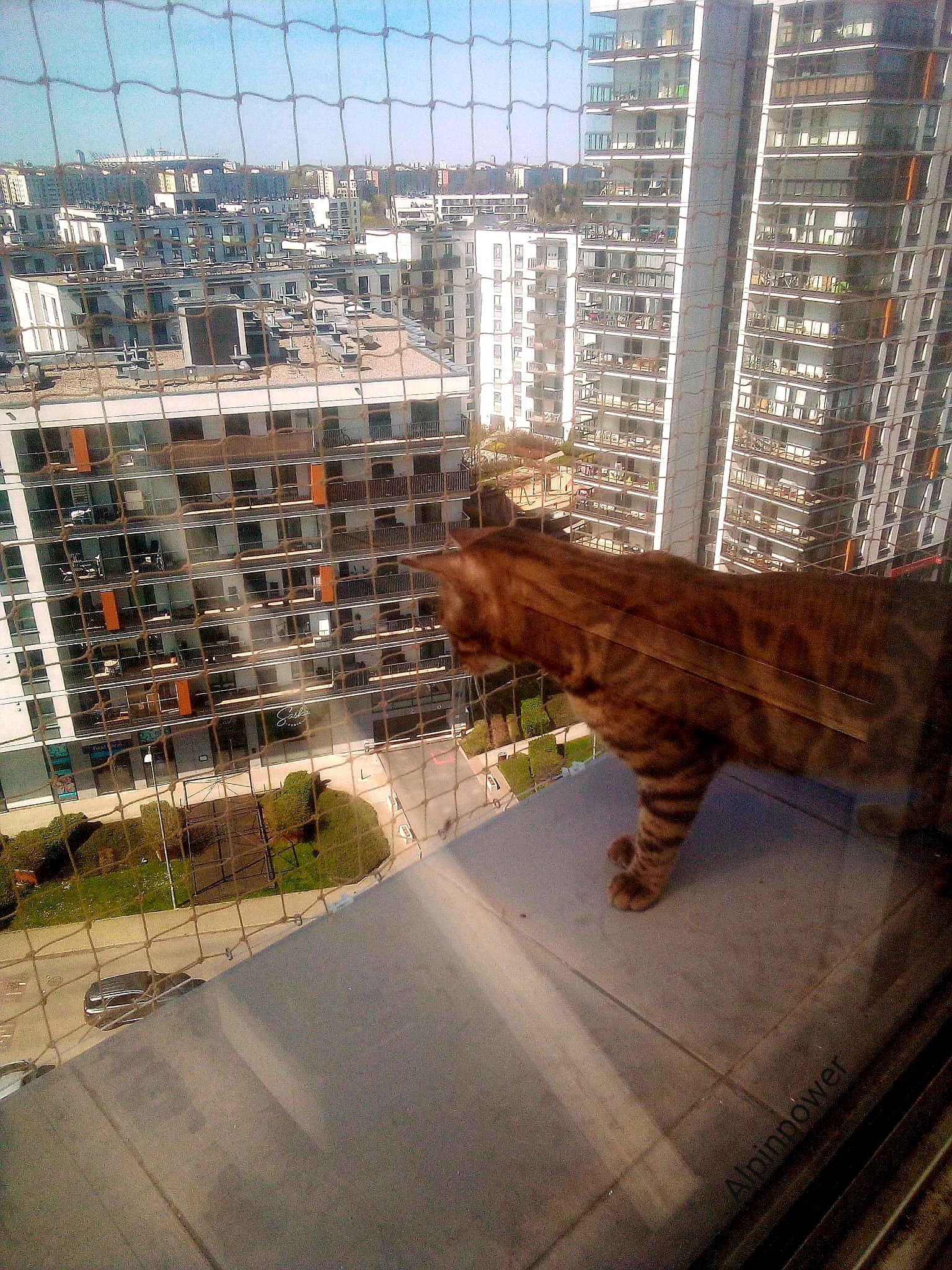 Montaż siatki dla kota na balkon 