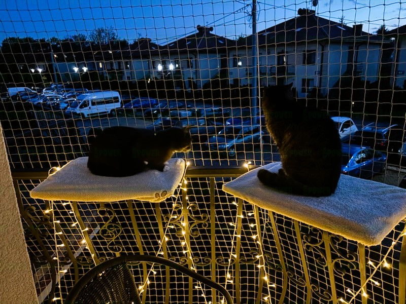 Wzmocniona siatka dla kotów na balkon z montażem 