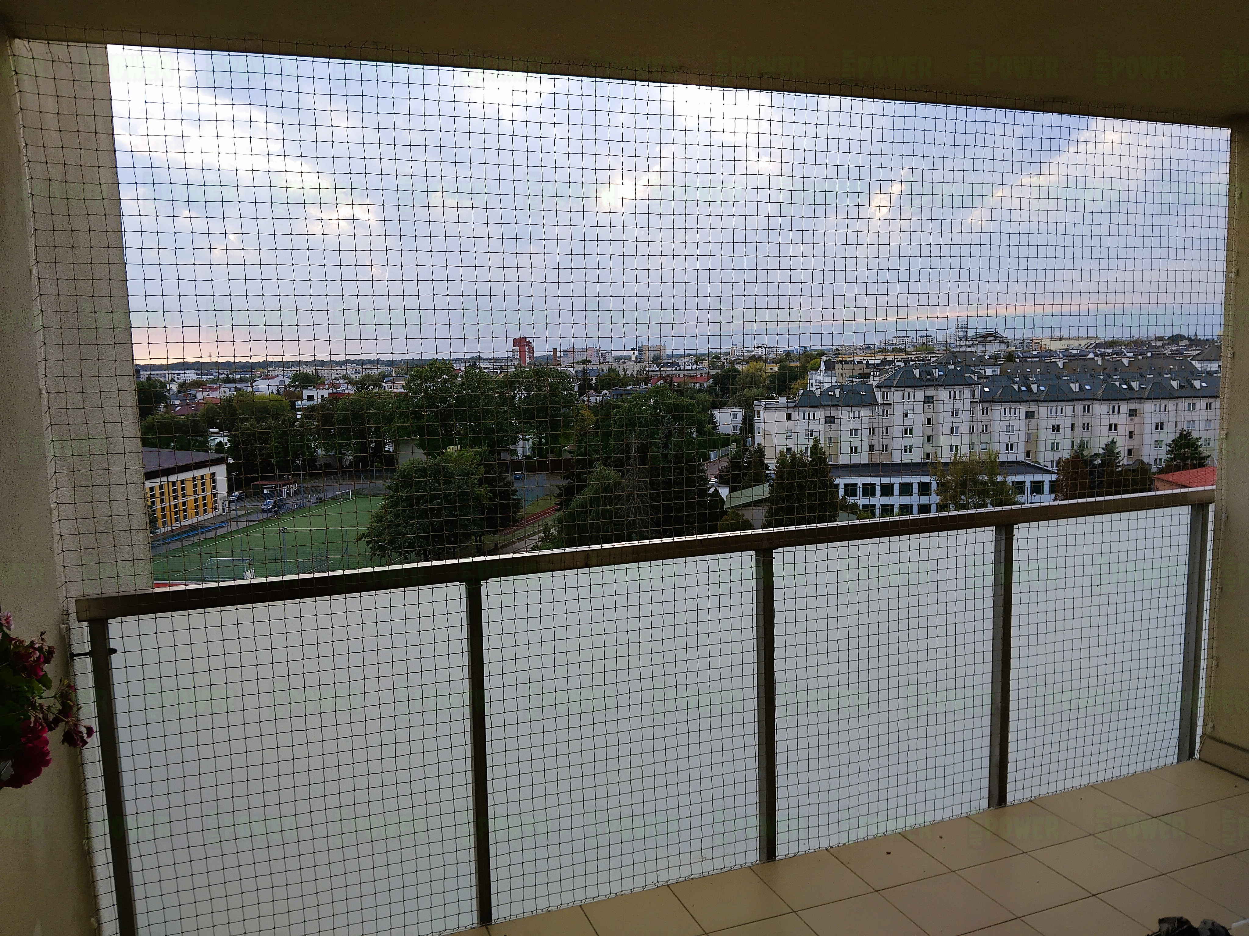 Siatka dla kotów