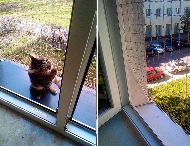 Montaż siatki na okno dla kota